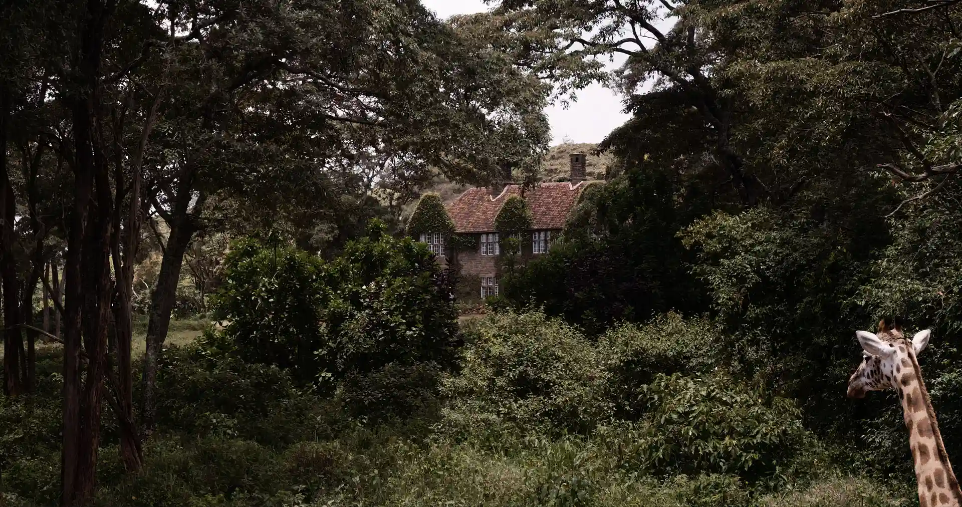 Shot from movie sr by Lea Hartlaub
