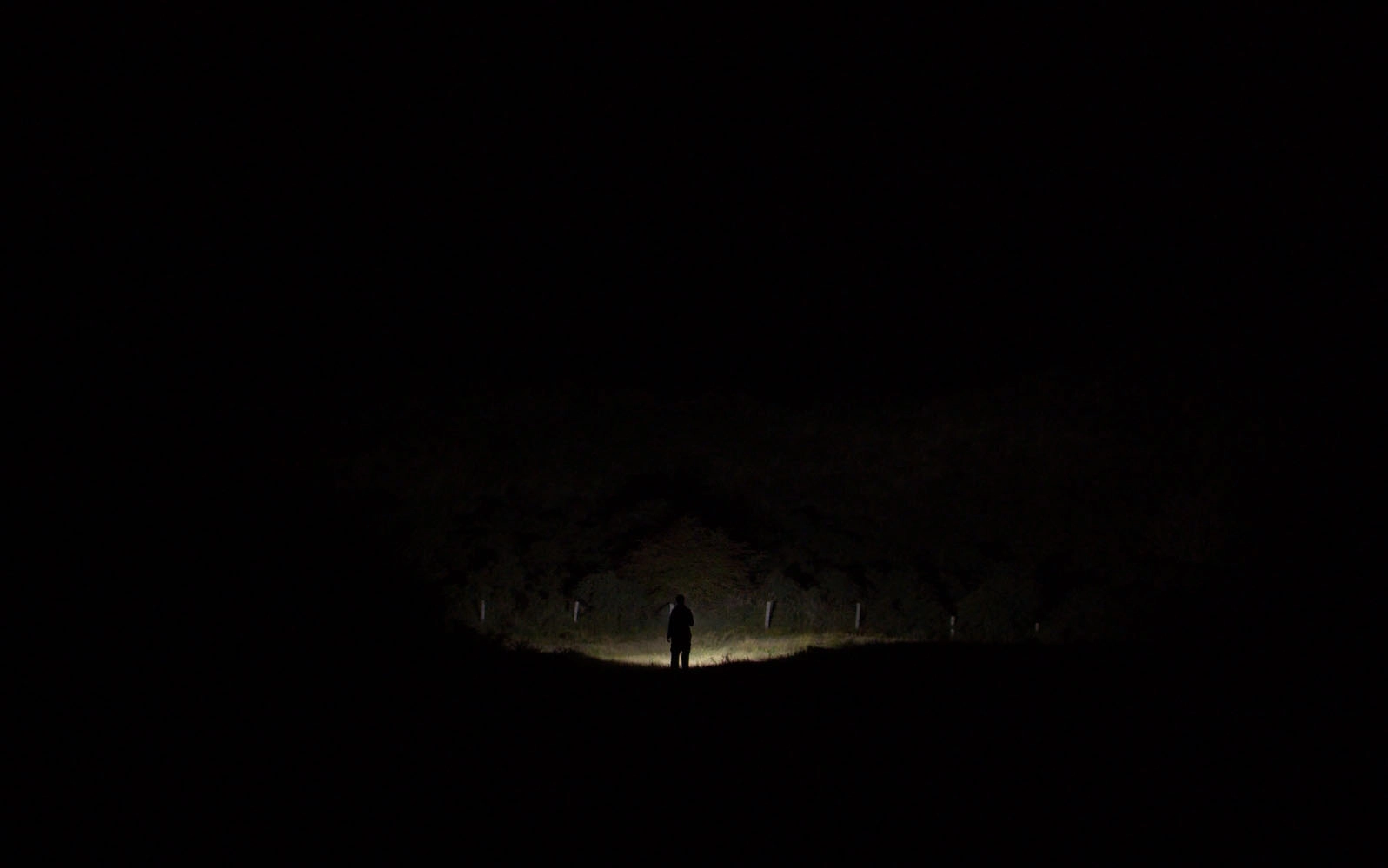shot 7 from movie Perpetual Radiance by Michela Meliddo