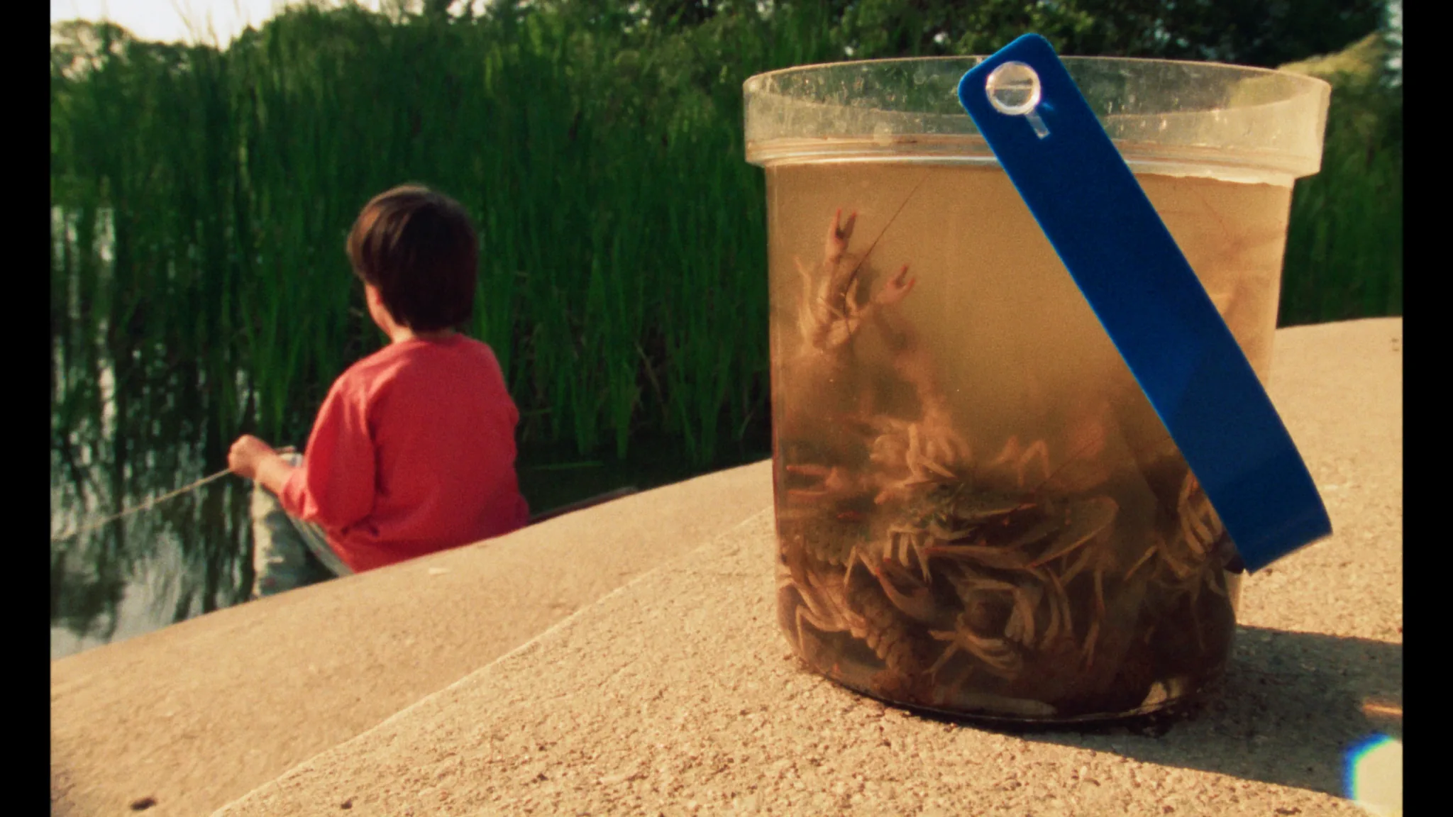 Still from the film Remake by Ross McElwee