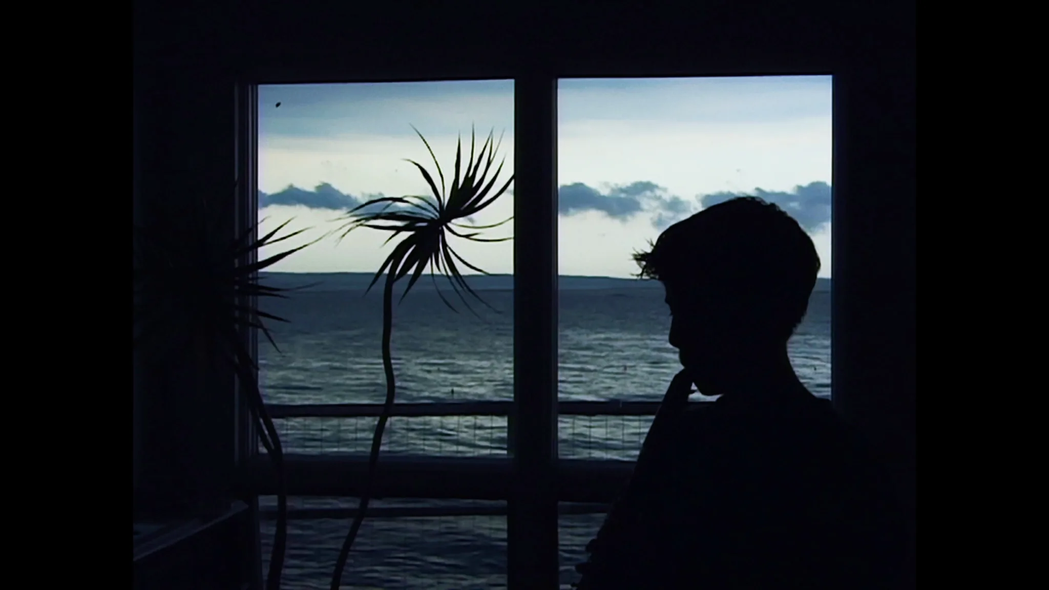 Still from the film Remake by Ross McElwee