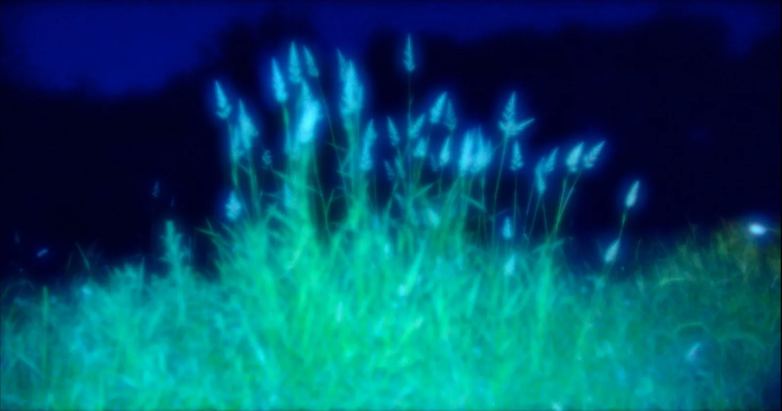 Still from the film Surge of Transference by Geo Barcan