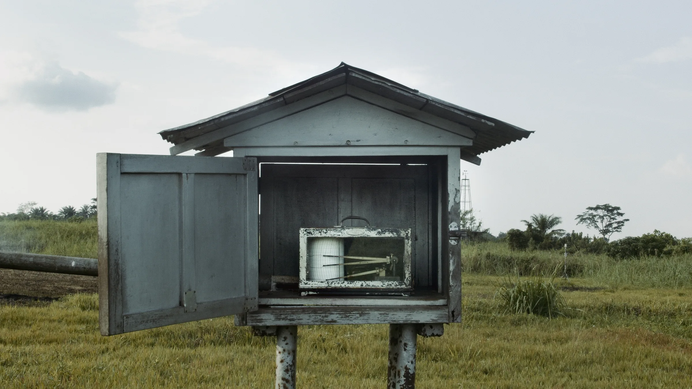 Still from the film Tree of Authenticity by Sammy Baloji