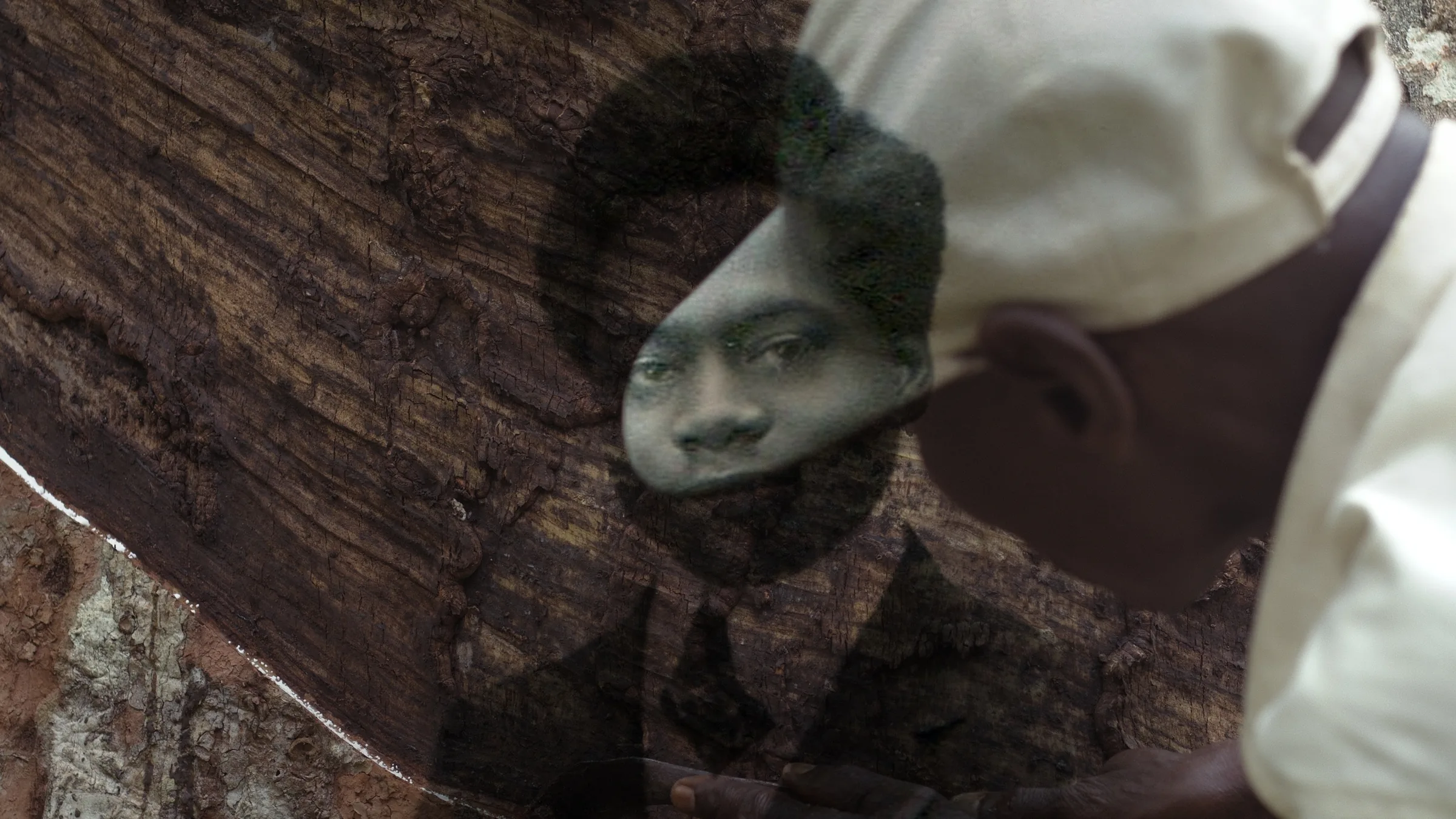 Still from the film Tree of Authenticity by Sammy Baloji