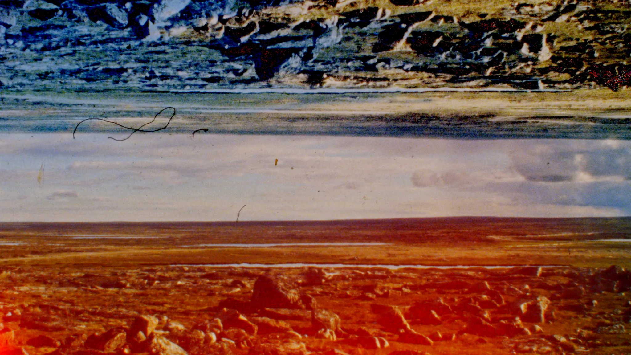 Still from the film Tuktuit: Caribou by Lindsay Aksarniq McIntyre